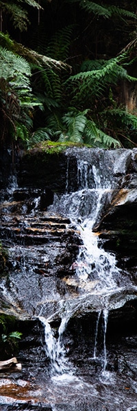 Agir pour une mode responsable - Eau claire